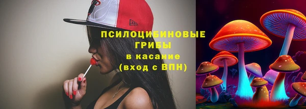 прущие крисы Алзамай
