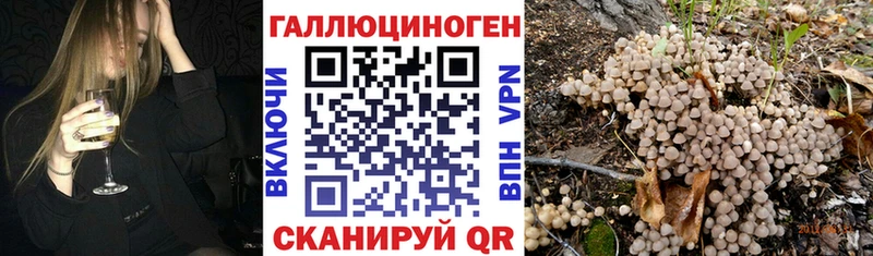 Псилоцибиновые грибы GOLDEN TEACHER  Большой Камень 