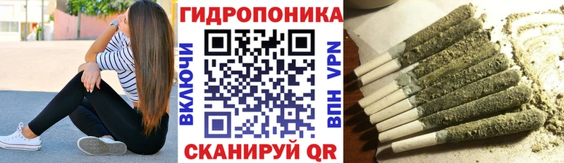 Конопля ГИДРОПОН  цены наркотик  Большой Камень 